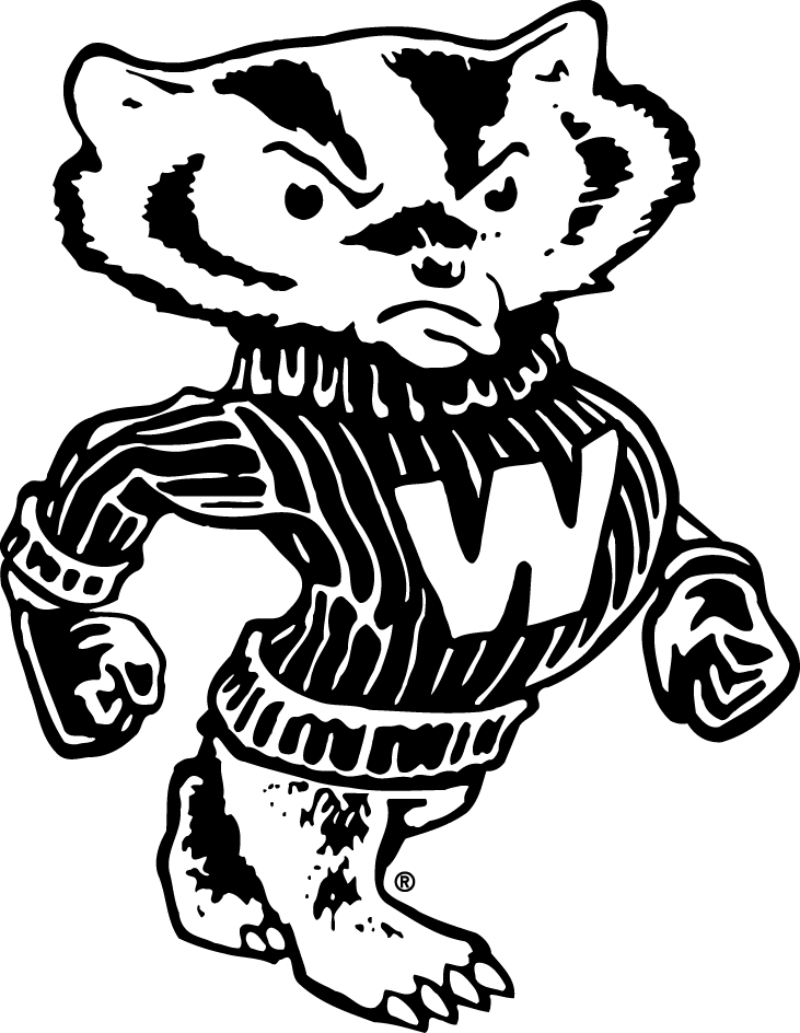 Wisconsin Badgers 1948-1969 Secondary Logo v2 iron on transfers for T-shirts